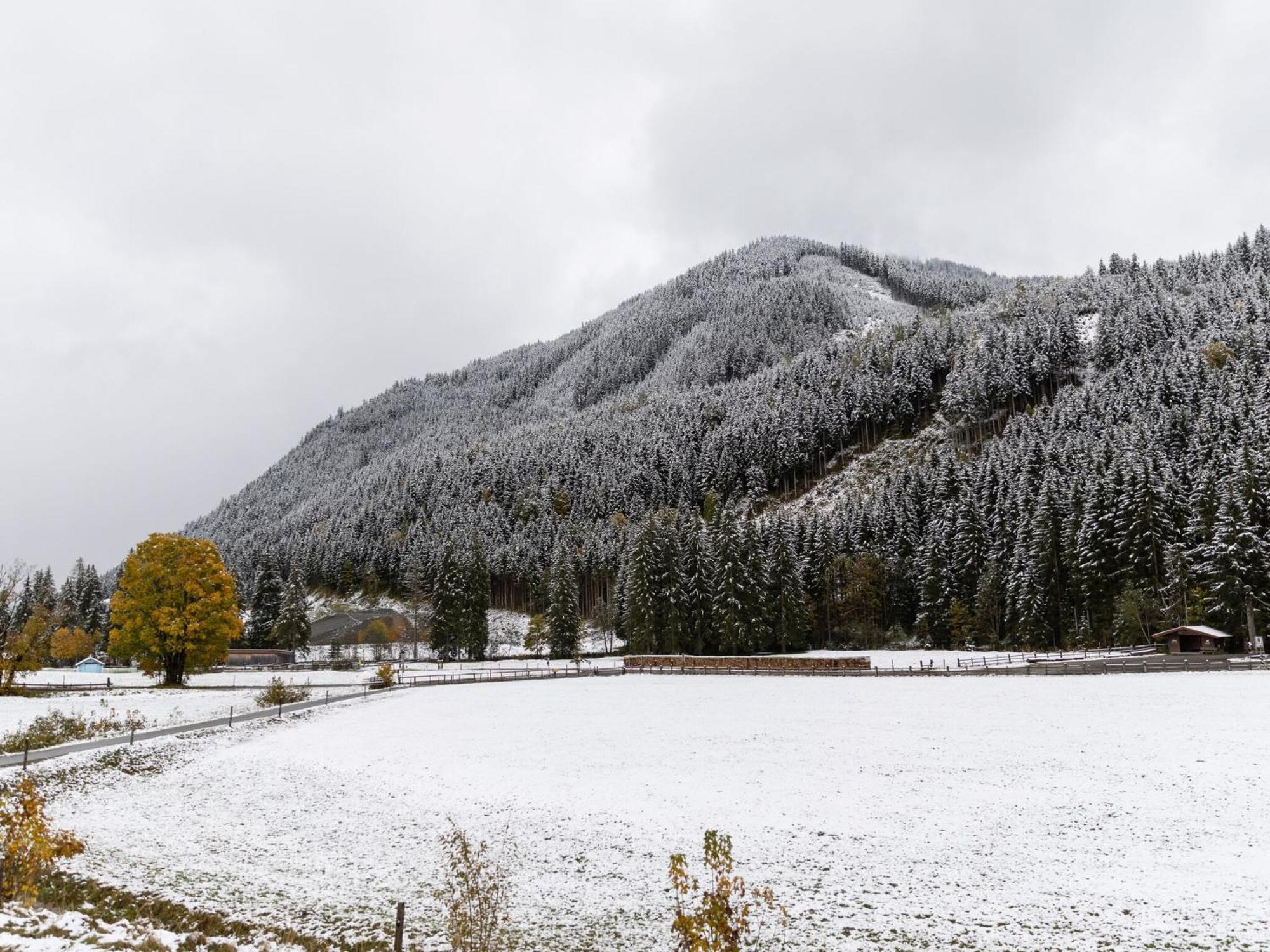Horská chata In Hinterglemm