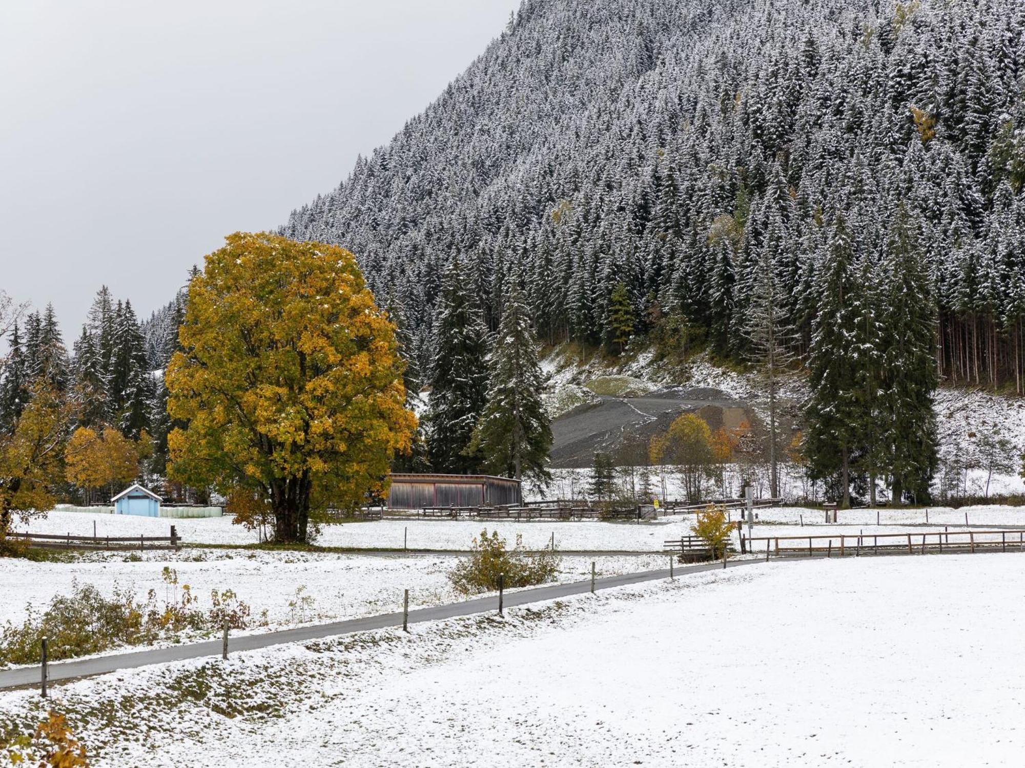 Horská chata In Hinterglemm Saalbach-Hinterglemm